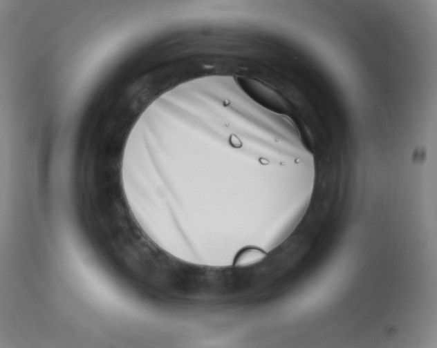 X0000113740383200910211130