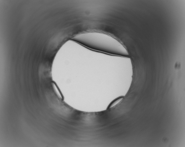 X0000113740384200910211130
