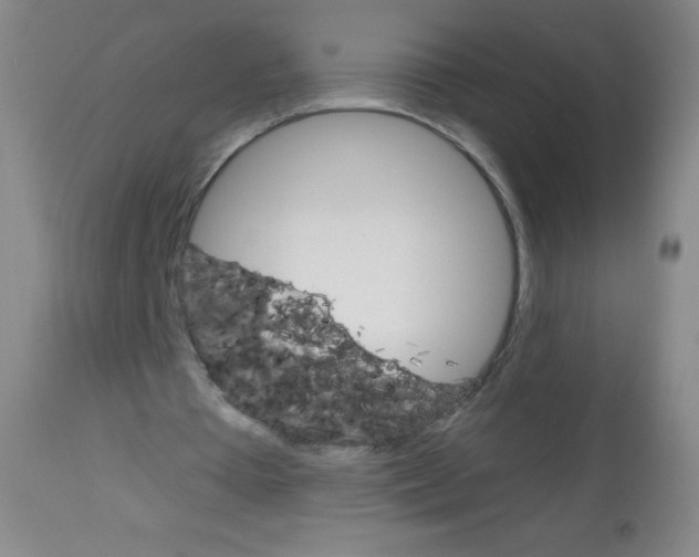 X0000113740385200910211129