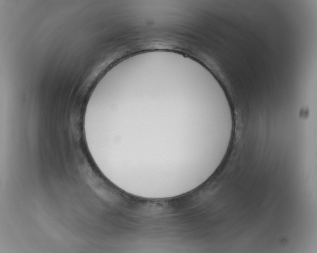 X0000113740386200910211129