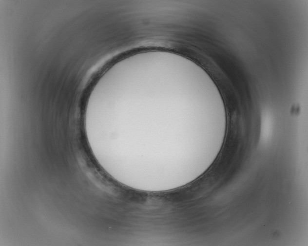 X0000113740388200910211129