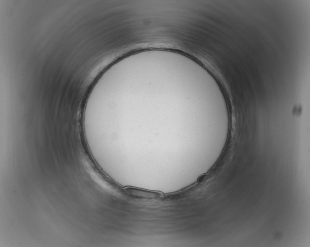 X0000113740389200910211129