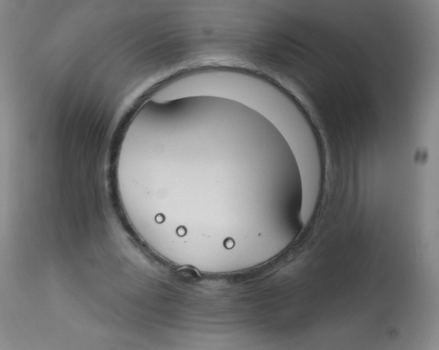 X0000113740391200910211129