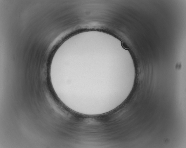 X0000113740392200910211129