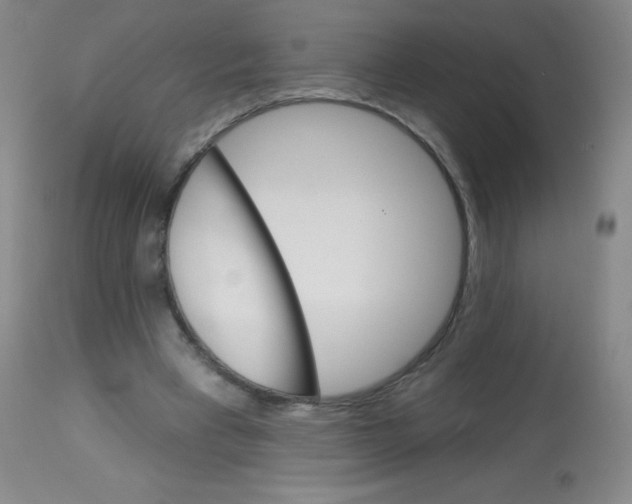 X0000113740393200910211129