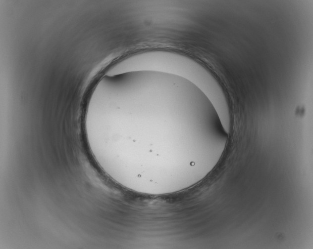X0000113740395200910211129