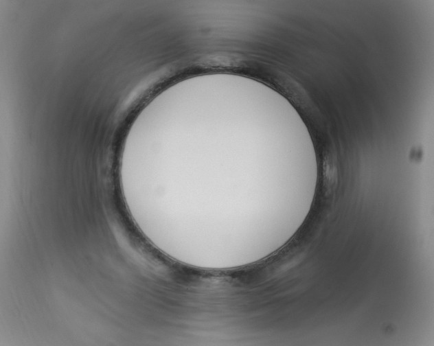X0000113740396200910211129