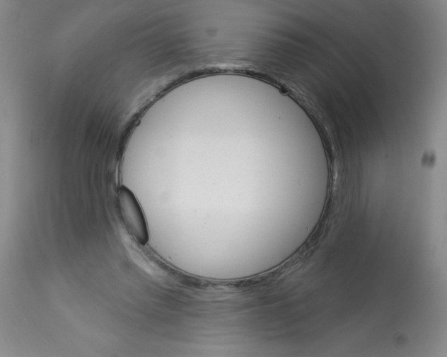 X0000113740397200910211129