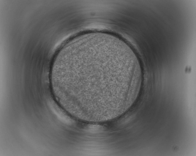 X0000113740399200910211129