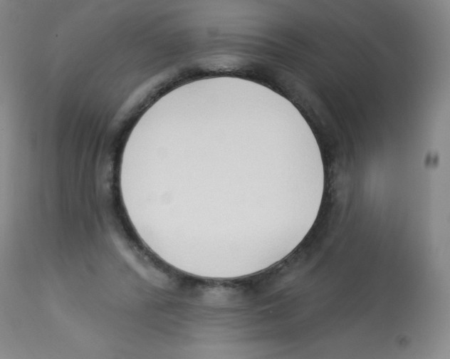 X0000113740400200910211129