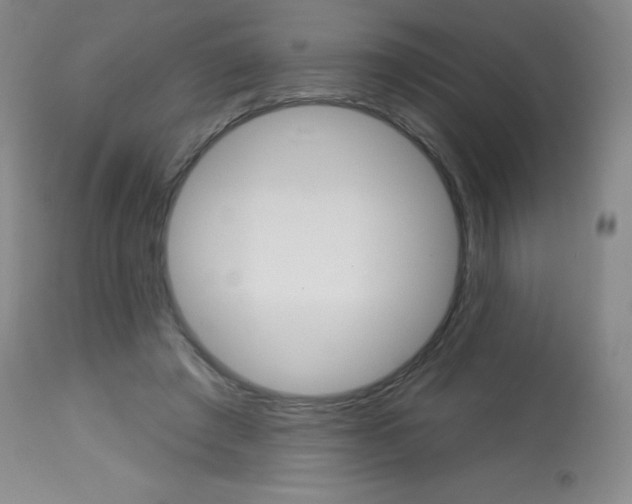 X0000113740401200910211129