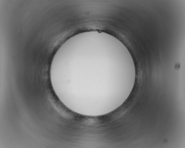 X0000113740402200910211129
