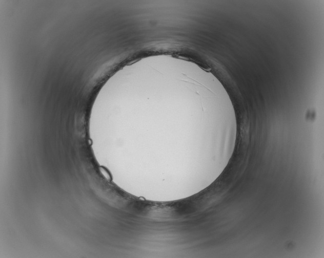X0000113740403200910211129