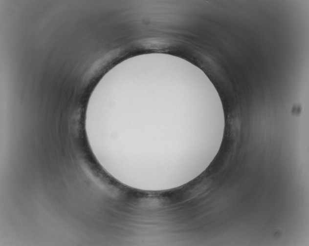 X0000113740404200910211129