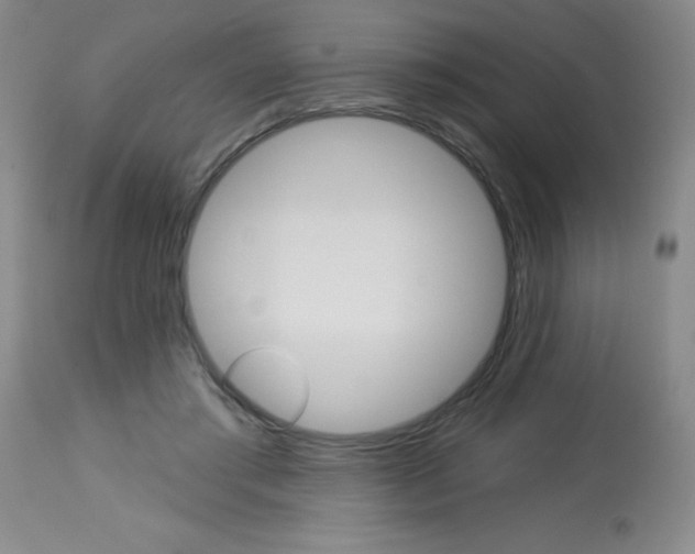 X0000113740405200910211129