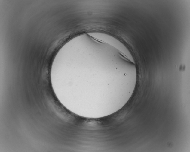 X0000113740407200910211129
