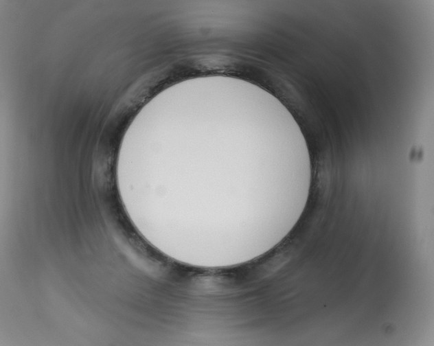 X0000113740408200910211129