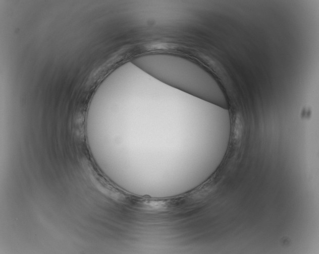 X0000113740409200910211129