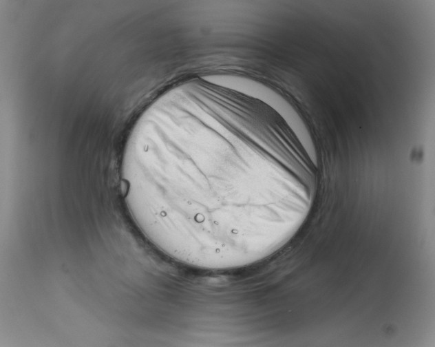 X0000113740411200910211129