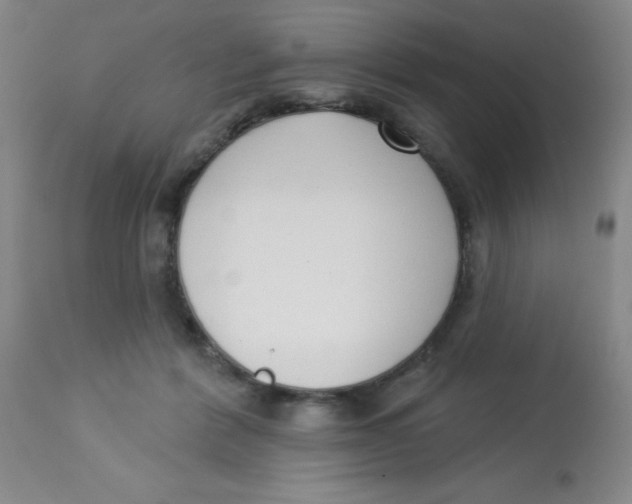 X0000113740412200910211129