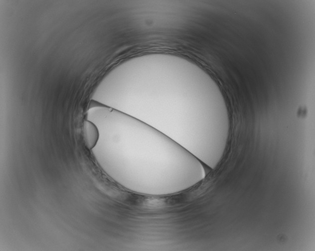X0000113740413200910211129