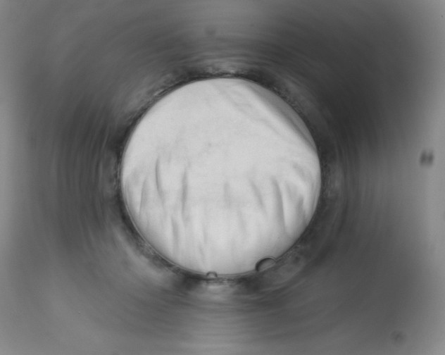 X0000113740414200910211129