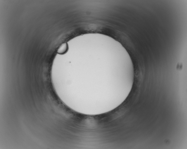 X0000113740416200910211129