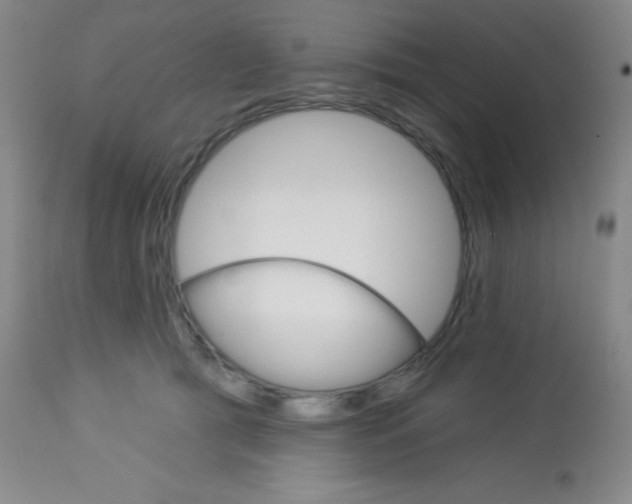 X0000113740417200910211129