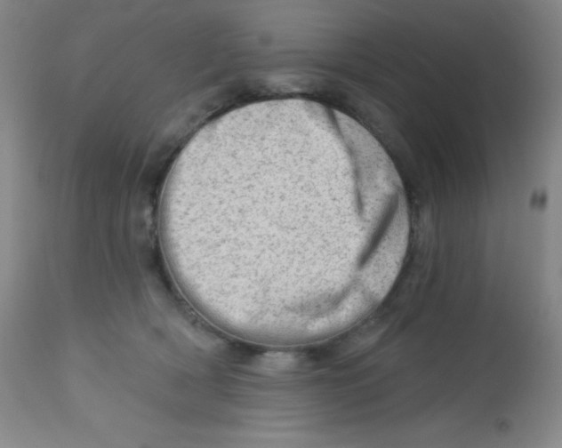 X0000113740418200910211129