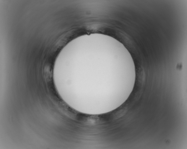 X0000113740420200910211129