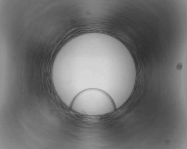 X0000113740421200910211129