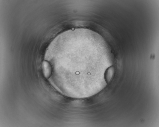 X0000113740422200910211129