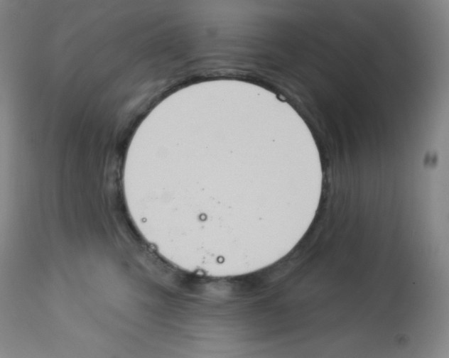 X0000113740423200910211129
