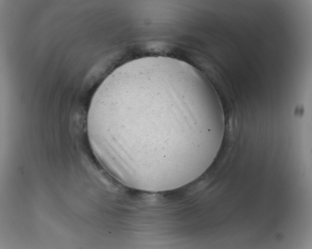 X0000113740424200910211129