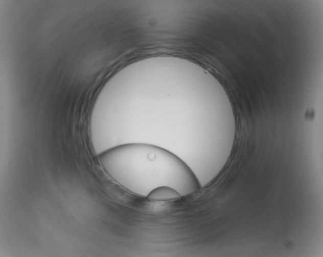 X0000113740425200910211129