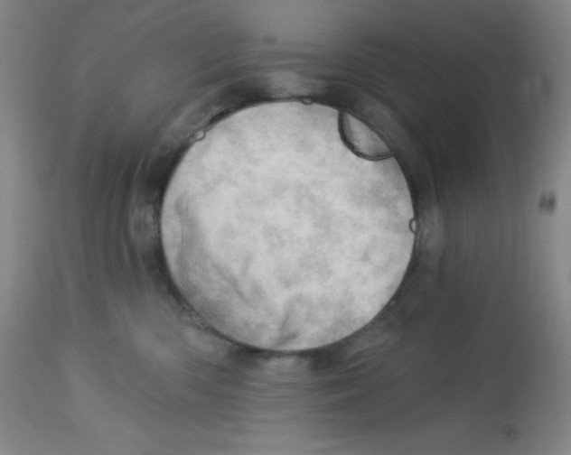 X0000113740426200910211128