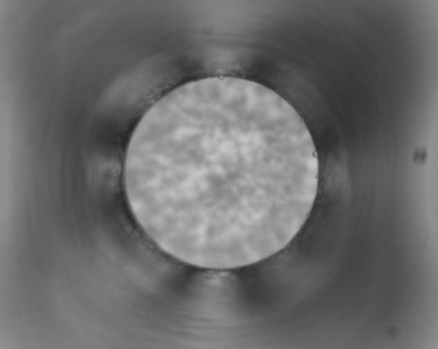 X0000113740427200910211128