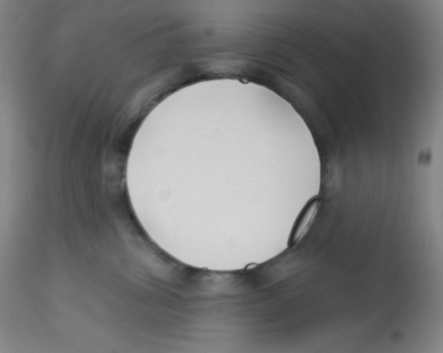 X0000113740428200910211128