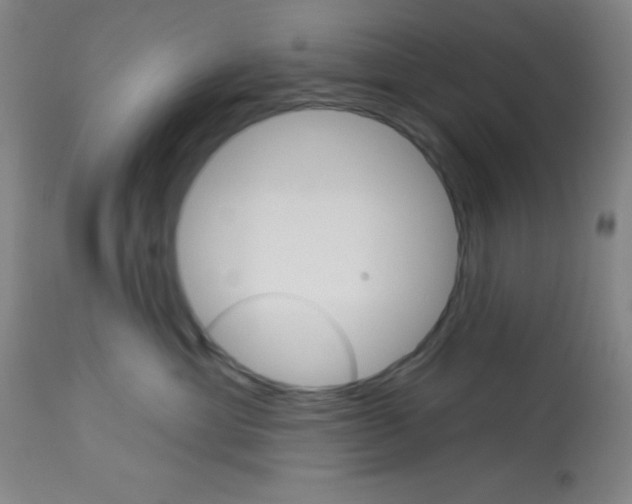 X0000113740429200910211128