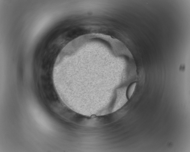 X0000113740430200910211128