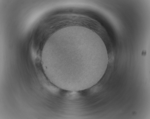 X0000113740431200910211128