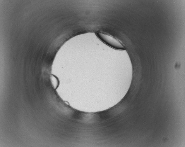 X0000113740432200910211128