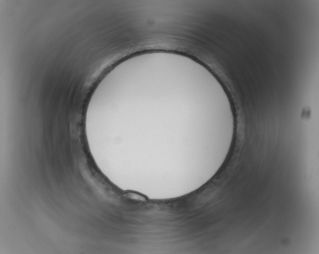 X0000113740434200910211128
