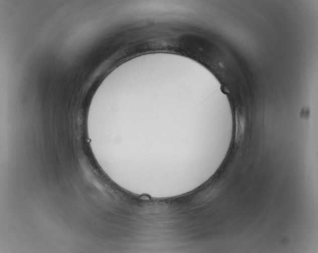 X0000113740435200910211128