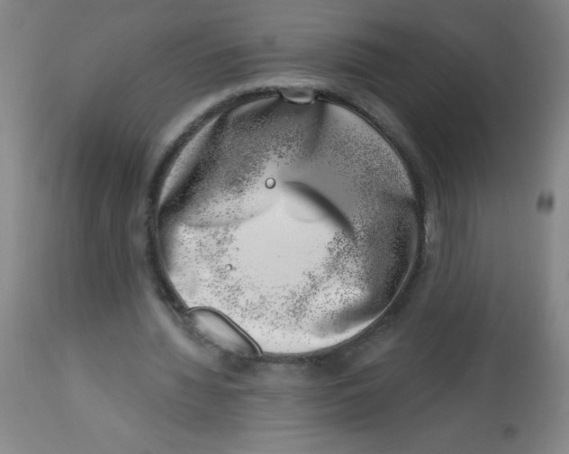 X0000113740436200910211128