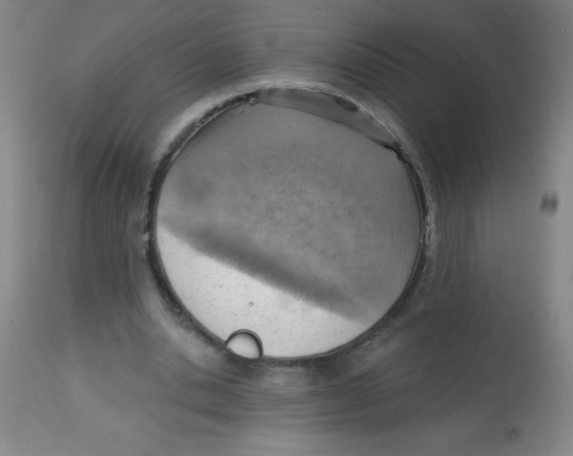 X0000113740438200910211128
