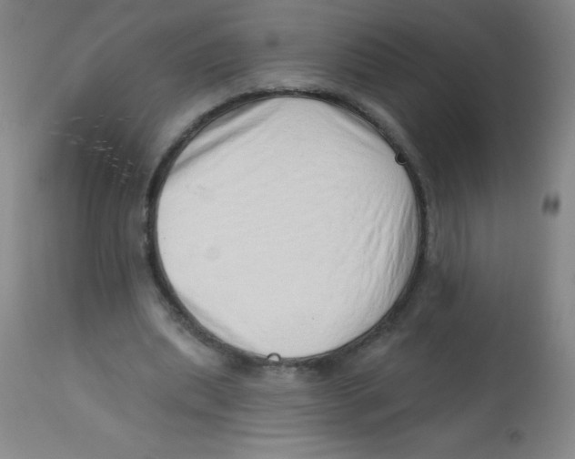 X0000113740439200910211128