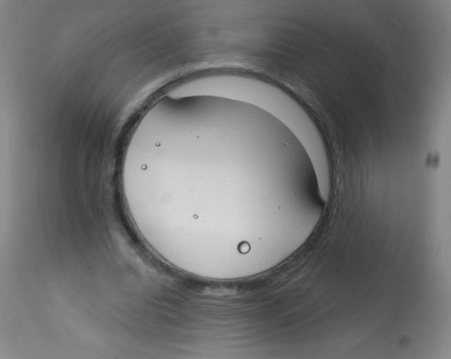 X0000113740440200910211128