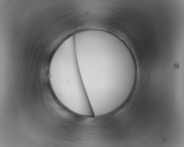 X0000113740441200910211128