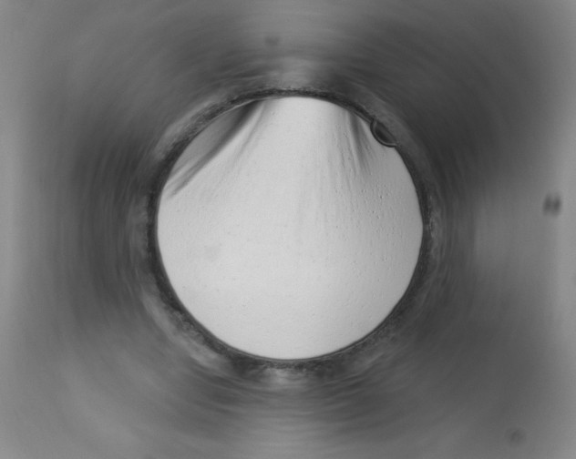 X0000113740442200910211128